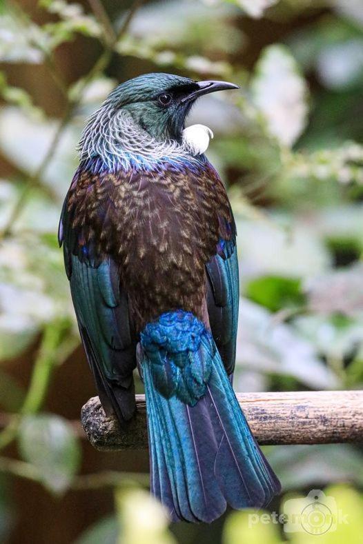 Mike & Jenny'S Kaka Point Accommodation エクステリア 写真