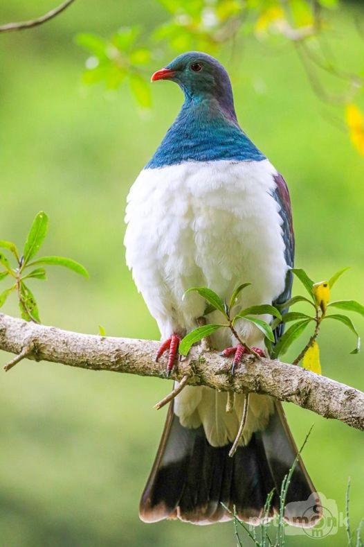 Mike & Jenny'S Kaka Point Accommodation エクステリア 写真
